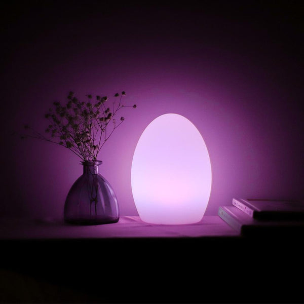 Lighted Egg | 8''